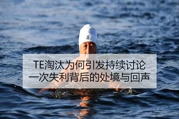 TE淘汰为何引发持续讨论 一次失利背后的处境与回声
